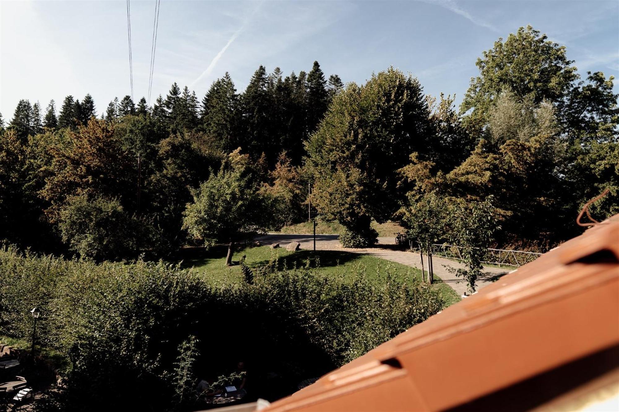 Hotel Dammuehle Marburg Екстериор снимка